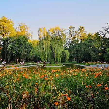 Basic, Quiet Apartment Close To Main Square Krakow Ngoại thất bức ảnh